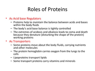 Roles of Proteins As Acid base Regulators Proteins help to maintain the balance between acids and bases within the body fluids The body’s acid base balance is tightly controlled The extremes of acidosis and alkalosis leads to coma and death because they denature (disturbing the shape of the protein) working proteins As Transporters Some proteins move about the body fluids, carrying nutrients and other molecules The protein hemoglobin carries oxygen from the lungs to the cells Lipoproteins transport lipids Some transport proteins carry vitamins and minerals 