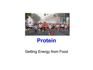 ﻿ Protein Getting Energy from Food 