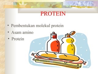 PROTEIN
• Asam amino
• Protein
• Pembentukan molekul protein
 