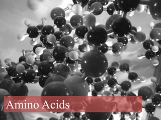 Amino Acids