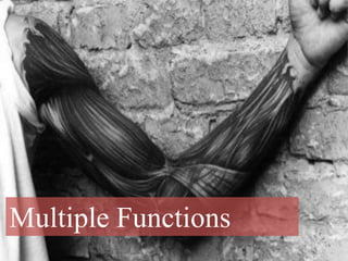 Multiple Functions