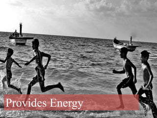 Provides Energy