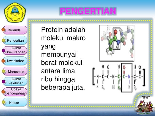 Akibat Kelebihan Dan Kekurangan Protein Hal
