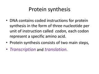 Protein synthesis
• DNA contains coded instructions for protein
synthesis in the form of three nucleotide per
unit of instruction called codon, each codon
represent a specific amino acid.
• Protein synthesis consists of two main steps,
• Transcription and translation.
 