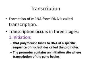 Transcription
• Formation of mRNA from DNA is called
transcription.
• Transcription occurs in three stages:
1.Initiation:
– RNA polymerase binds to DNA at a specific
sequence of nucleotides called the promoter.
– The promoter contains an initiation site where
transcription of the gene begins.
 
