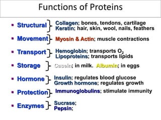  Structural
 Movement
 Transport
 Storage
 Hormone
 Protection
 Enzymes
Collagen; bones, tendons, cartilage
Keratin; hair, skin, wool, nails, feathers
Myosin & Actin; muscle contractions
Hemoglobin; transports O2
Lipoproteins; transports lipids
Casein; in milk. Albumin; in eggs
Insulin; regulates blood glucose
Growth hormone; regulates growth
Immunoglobulins; stimulate immunity
Sucrase;
Pepsin;
Functions of Proteins
 