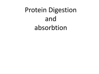 Protein Digestion
and
absorbtion
 