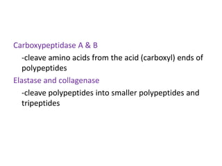 Carboxypeptidase A & B
-cleave amino acids from the acid (carboxyl) ends of
polypeptides
Elastase and collagenase
-cleave polypeptides into smaller polypeptides and
tripeptides
 