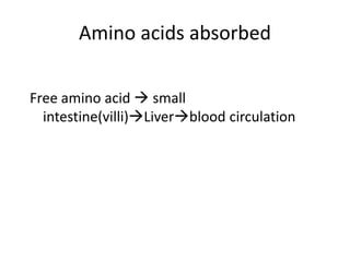Amino acids absorbed
Free amino acid  small
intestine(villi)Liverblood circulation
 