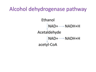 Alcohol dehydrogenase pathway
Ethanol
NAD+ NADH+H
Acetaldehyde
NAD+ NADH+H
acetyl-CoA
 