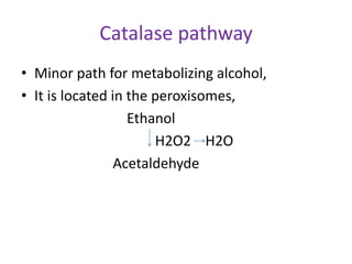 Catalase pathway
• Minor path for metabolizing alcohol,
• It is located in the peroxisomes,
Ethanol
H2O2 H2O
Acetaldehyde
 