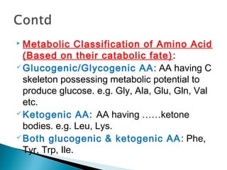  Metabolic Classification of Amino Acid 
(Based on their catabolic fate): 
Glucogenic/Glycogenic AA: AA having C 
skeleton possessing metabolic potential to 
produce glucose. e.g. Gly, Ala, Glu, Gln, Val 
etc. 
Ketogenic AA: AA having ……ketone 
bodies. e.g. Leu, Lys. 
Both glucogenic & ketogenic AA: Phe, 
Tyr, Trp, Ile. 
 