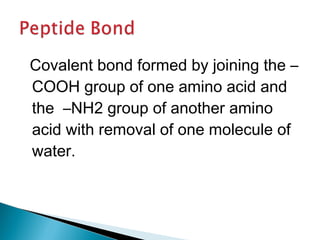 Covalent bond formed by joining the – 
COOH group of one amino acid and 
the –NH2 group of another amino 
acid with removal of one molecule of 
water. 
 