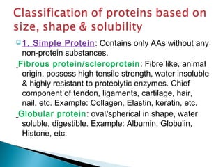 1. Simple Protein: Contains only AAs without any 
non-protein substances. 
Fibrous protein/scleroprotein: Fibre like, animal 
origin, possess high tensile strength, water insoluble 
& highly resistant to proteolytic enzymes. Chief 
component of tendon, ligaments, cartilage, hair, 
nail, etc. Example: Collagen, Elastin, keratin, etc. 
Globular protein: oval/spherical in shape, water 
soluble, digestible. Example: Albumin, Globulin, 
Histone, etc. 
 