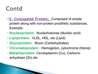 2. Conjugated Protein: Composed of simple 
protein along with non-protein prosthetic substances. 
Example: 
 Nucleoprotein: Nucleohistones (Nucleic acid) 
 Lipoprotein: VLDL, HDL, etc (Lipid) 
Glycoprotein: Mucin (Carbohydrates) 
 Chromatoprotein: Hemoglobin, cytochrome (Heme) 
Metalloprotein: Ceruloplasmin (Cu), Carbonic 
anhydrase (Zn) etc. 
 