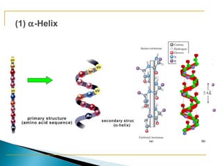 (1) a-Helix 
 