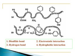 A.三级结构中的作用力 
1. Disulfide bond 2. Electrostatic interaction 
3. Hydrogen bond 4. Hydrophobic interaction 
 