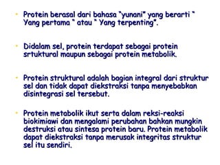 • Protein berasal dari bahasa “yunani” yang berarti “Protein berasal dari bahasa “yunani” yang berarti “
Yang pertama “ atau “ Yang terpenting”.Yang pertama “ atau “ Yang terpenting”.
• Didalam sel, protein terdapat sebagai proteinDidalam sel, protein terdapat sebagai protein
srtuktural maupun sebagai protein metabolik.srtuktural maupun sebagai protein metabolik.
• Protein struktural adalah bagian integral dari strukturProtein struktural adalah bagian integral dari struktur
sel dan tidak dapat diekstraksi tanpa menyebabkansel dan tidak dapat diekstraksi tanpa menyebabkan
disintegrasi seldisintegrasi sel tersebut.tersebut.
• Protein metabolik ikut serta dalam reksi-reaksiProtein metabolik ikut serta dalam reksi-reaksi
biokimiawi dan mengalami perubahan bahkan mungkinbiokimiawi dan mengalami perubahan bahkan mungkin
destruksi atau sintesa protein baru. Protein metabolikdestruksi atau sintesa protein baru. Protein metabolik
dapat diekstraksi tanpa merusak integritas strukturdapat diekstraksi tanpa merusak integritas struktur
sel itu sendiri.sel itu sendiri.
 