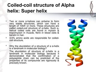 Coiled-coil structure of Alpha
helix: Super helix
• Two or more α-helices can entwine to form
very stable structures, whic...