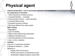 Physical agent
• Thermal denaturation : Rate of denaturation depends on the temperature.
As Temperature is increased
– Aff...