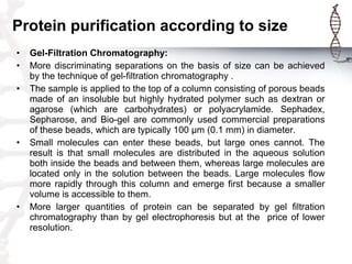 • Gel-Filtration Chromatography:
• More discriminating separations on the basis of size can be achieved
by the technique o...
