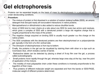 Gel elctrophoresis
• Proteins can be separated largely on the basis of mass by electrophoresis in a polyacrylamide gel
und...