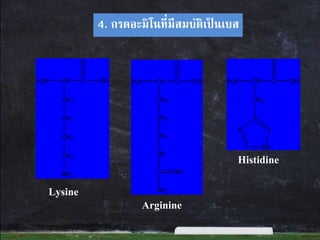 4. กรดอะมิโนที่มีสมบัติเป็ นเบส
Lysine
Arginine
Histidine
H2N CH C
CH2
OH
O
CH2
CH2
CH2
NH2
H2N CH C
CH2
OH
O
CH2
CH2
NH
C
NH2
NH
H2N CH C
CH2
OH
O
N
NH
 