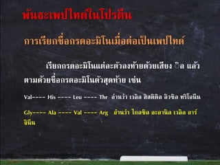 การเรียกชื่อกรดอะมิโนเมื่อต่อเป็ นเพปไทด์
เรียกกรดอะมิโนแต่ละตัวลงท้ายด้วยเสียง ิิล แล้ว
ตามด้วยชื่อกรดอะมิโนตัวสุดท้าย เช่น
Val---- His ---- Leu ---- Thr อ่านว่า เวลิล ฮิสติดิล ลิวซิล ทริโอนีน
Gly---- Ala ---- Val ---- Arg อ่านว่า ไกลซิล อะลานิล เวลิล อาร์
จินีน
พันธะเพปไทด์ในโปรตีน
 