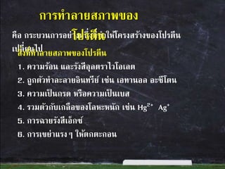 คือ กระบวนการอย่างหนึ่งที่ทาให้โครงสร้างของโปรตีน
เปลี่ยนไปสิ่งที่ทาลายสภาพของโปรตีน
1. ความร้อน และรังสีอุลตราไวโอเลต
2. ถูกตัวทาละลายอินทรีย์ เช่น เอทานอล อะซีโตน
3. ความเป็ นกรด หรือความเป็ นเบส
4. รวมตัวกับเกลือของโลหะหนัก เช่น Hg2+ Ag+
5. การฉายรังสีเอ็กซ์
6. การเขย่าแรงๆ ให้ตกตะกอน
การทาลายสภาพของ
โปรตีน
 