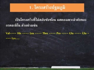 เป็ นโครงสร้างที่ไม่สลับซับซ้อน แสดงเฉพาะลาดับของ
กรดอะมิโน ตัวอย่างเช่น
Val---- His ---- Leu ---- Thre ---- Pro ---- Glu ---- Glu -
--- Lys…...
1. โครงสร้างปฐมภูมิ
 