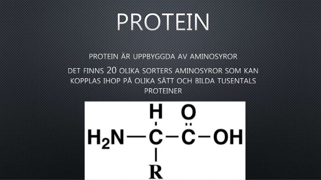 olika sorters protein olika sorters protein