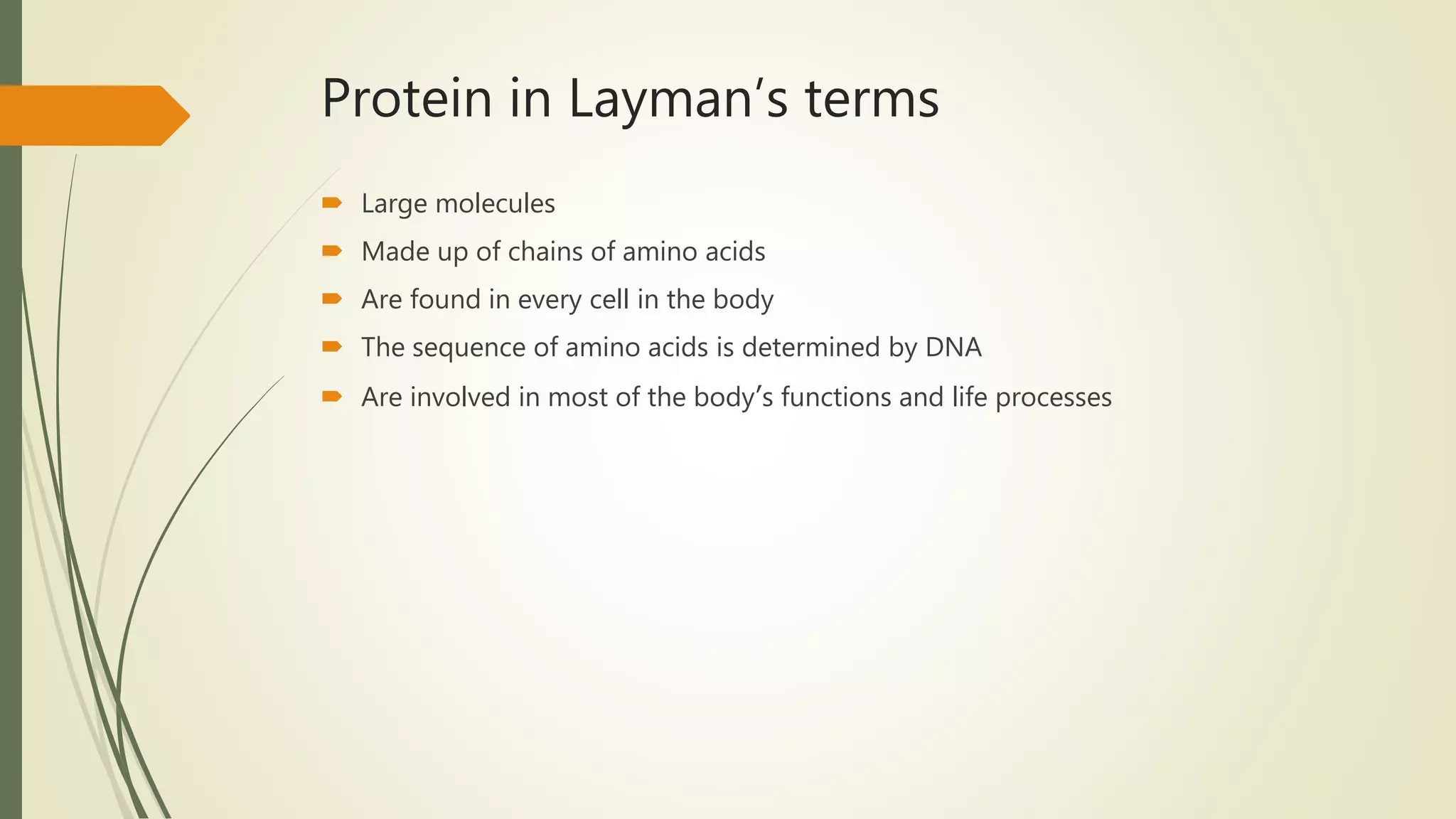 Protein (Nutrient) | PPTX