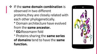MODULAR NATURE OF PROTEINS | PPTX