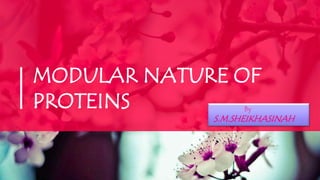 MODULAR NATURE OF
PROTEINS By
S.M.SHEIKHASINAH
 