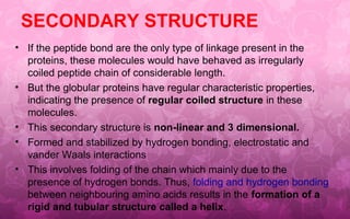 SECONDARY STRUCTURE
• If the peptide bond are the only type of linkage present in the
proteins, these molecules would have behaved as irregularly
coiled peptide chain of considerable length.
• But the globular proteins have regular characteristic properties,
indicating the presence of regular coiled structure in these
molecules.
• This secondary structure is non-linear and 3 dimensional.
• Formed and stabilized by hydrogen bonding, electrostatic and
vander Waals interactions
• This involves folding of the chain which mainly due to the
presence of hydrogen bonds. Thus, folding and hydrogen bonding
between neighbouring amino acids results in the formation of a
rigid and tubular structure called a helix.
 