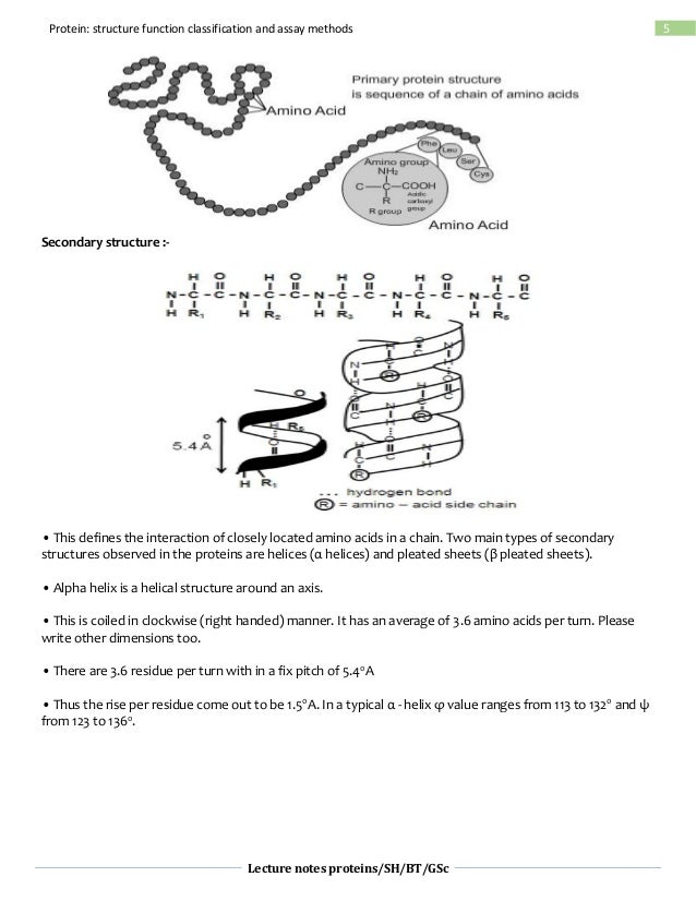 Protein structure, classification,function and assay methods