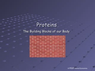 ProteinsProteins
The Building Blocks of our BodyThe Building Blocks of our Body
© PDST Home Economics
 