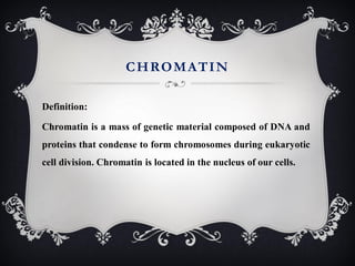 Protein | PPT