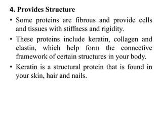 4. Provides Structure
• Some proteins are fibrous and provide cells
and tissues with stiffness and rigidity.
• These proteins include keratin, collagen and
elastin, which help form the connective
framework of certain structures in your body.
• Keratin is a structural protein that is found in
your skin, hair and nails.
 