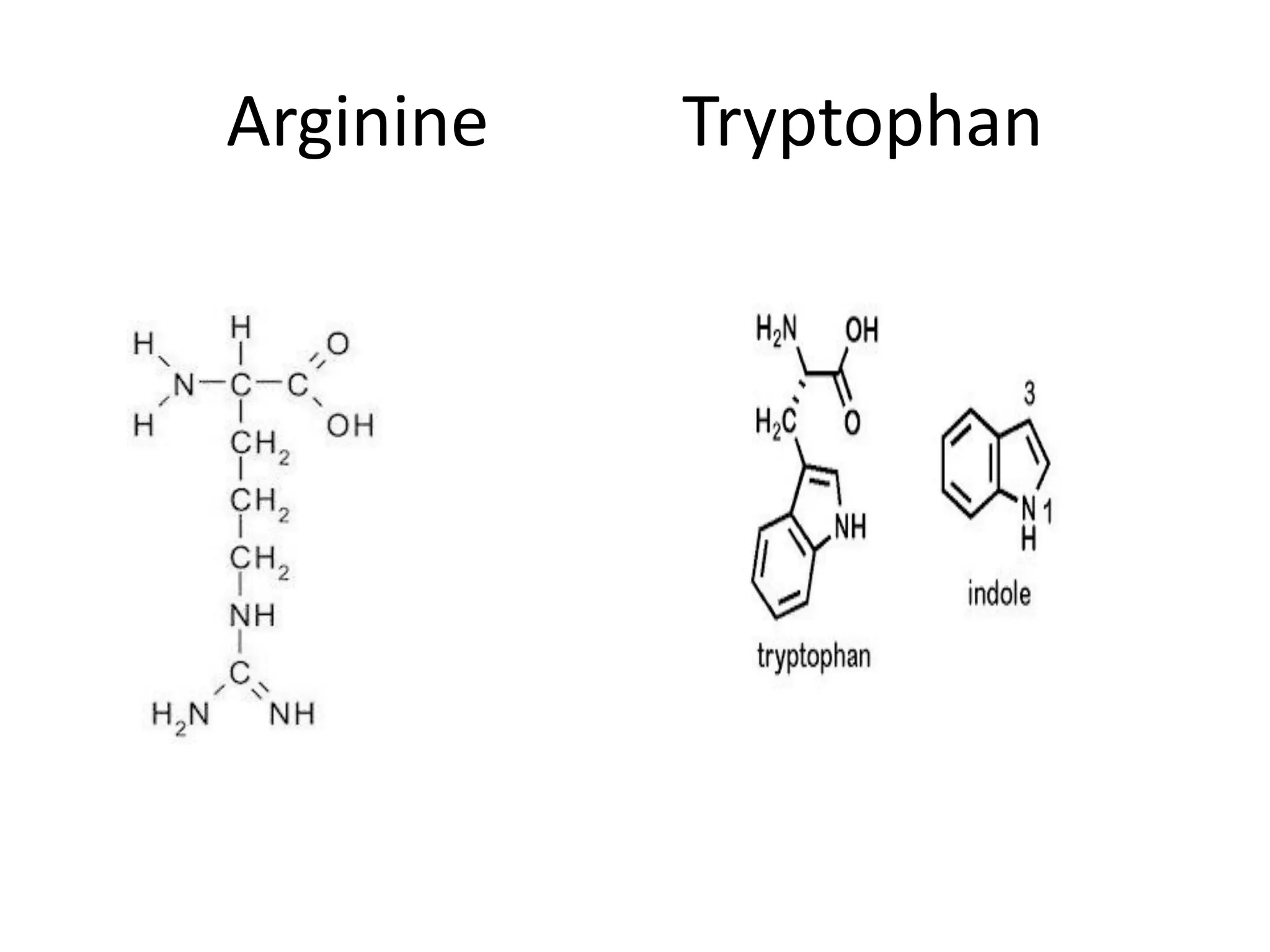 Arginine Tryptophan
 