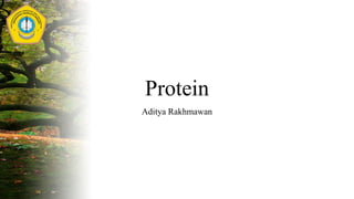 Protein
Aditya Rakhmawan
 