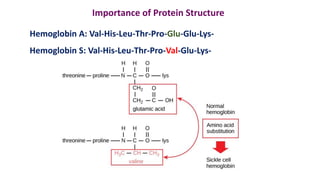 Protein.pdf