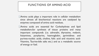 FUNCTIONS OF AMINO ACID
❑Amino acids plays a important role in cellular metabolism
since almost all biochemical reactions are catalyzed by
enzymes composed of amino acid residues.
❑Amino acids are essential for Carbohydrate and lipid
metabolism,for synthesis of tissue proteins and many
important compounds (i.e. adrenalin, thyroxine, melanin,
histamines, porphyrins, haemoglobin, pyrimidines and
purines-nucleic acids, choline, folic acid and nicotinic acid-
Vitamins, Taurine-bile salts etc.) and as a metabolic source
of energy or fuel.
 