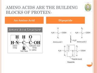 PROTEIN: types and related disorder.pptx