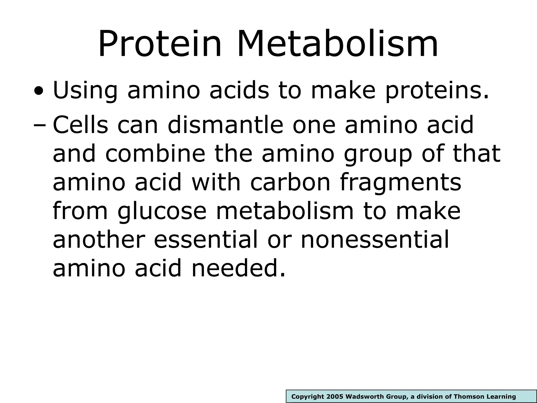Protein amino acid metabolism in the body | PPT