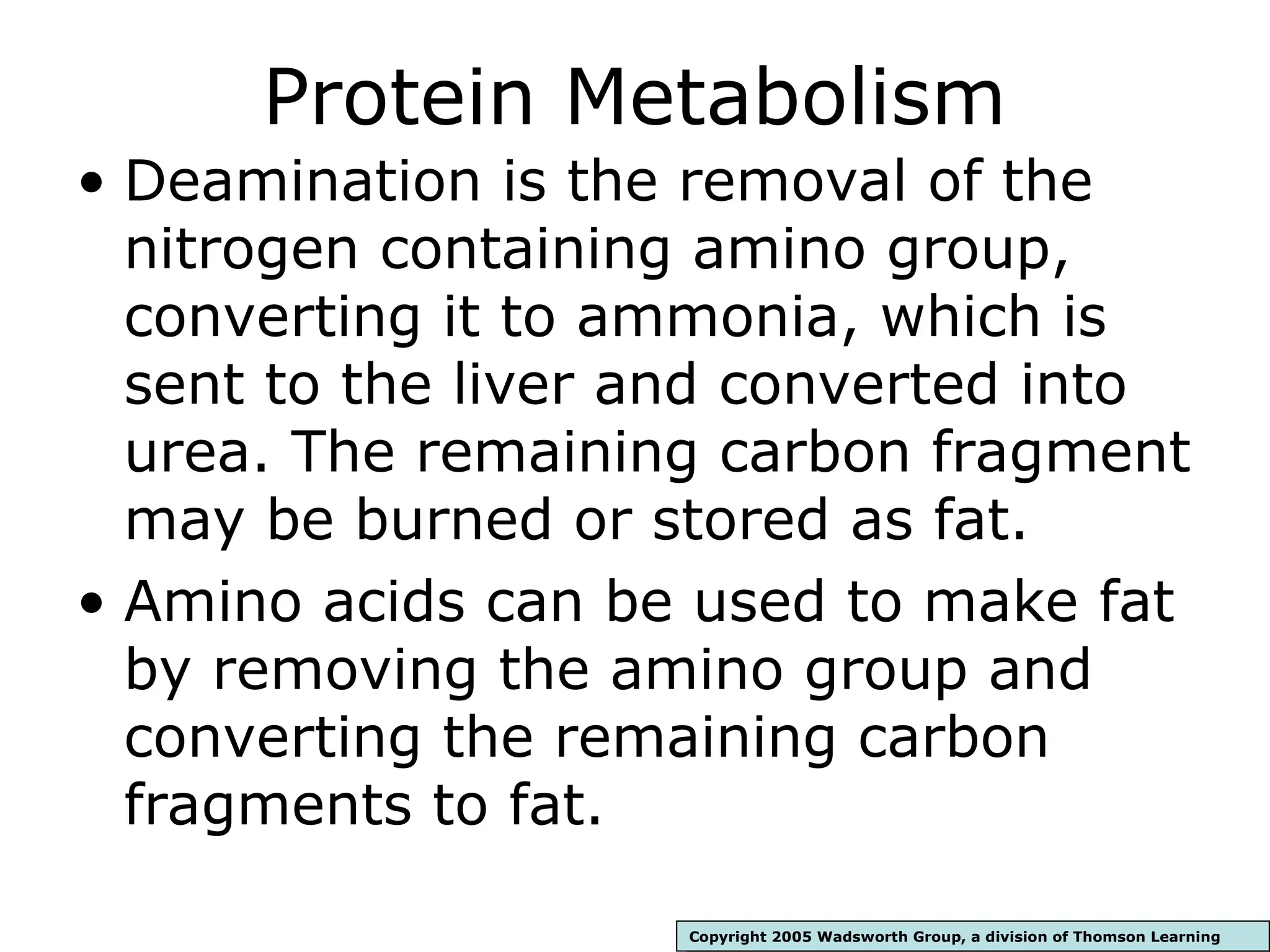 Protein amino acid metabolism in the body | PPT