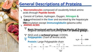 Protein Compound Example Protein Lecture for medical laboratory science students | PPTX