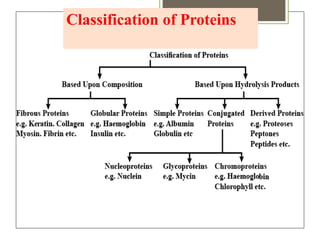 PROTEINS AND AMINO ACIDS MBBS 1ST YEAR BIOCHEMISTRY | PPTX