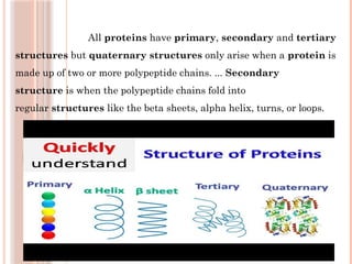 Comprehensive Overview of Proteins: Structure, Function, and ...