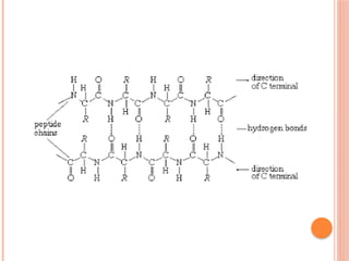 Comprehensive Overview of Proteins: Structure, Function, and ...